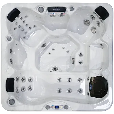 Avalon EC-849L hot tubs for sale in Coonrapids