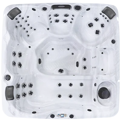 Avalon EC-867L hot tubs for sale in Coonrapids