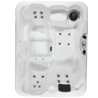 Kona PZ-519L hot tubs for sale in Coonrapids