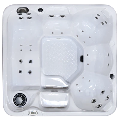 Hawaiian PZ-636L hot tubs for sale in Coonrapids